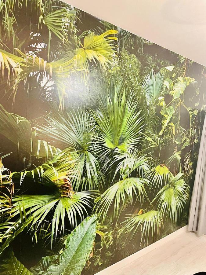 La Saveur Tropicale-Proche Centre Ville-Aeroport ボーヴェ エクステリア 写真